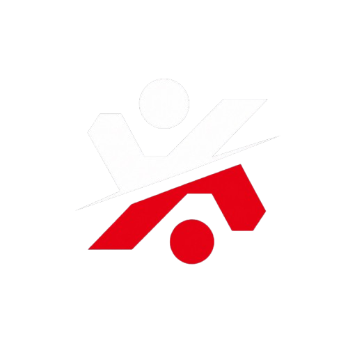 The Polish Developers
